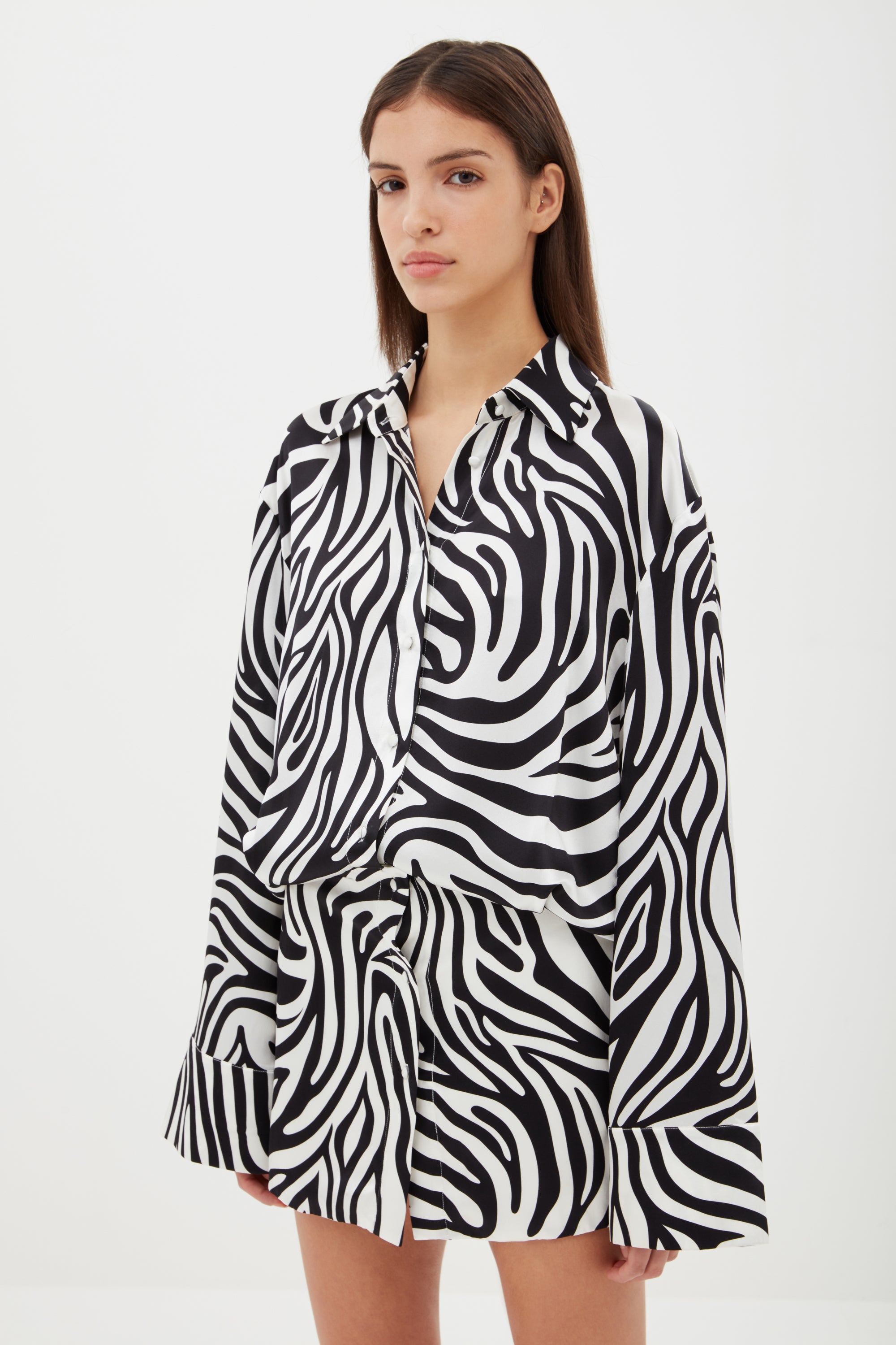 Silk Shirt Dress in Zebra Aexae, Silk Shirt Dress, Zebra