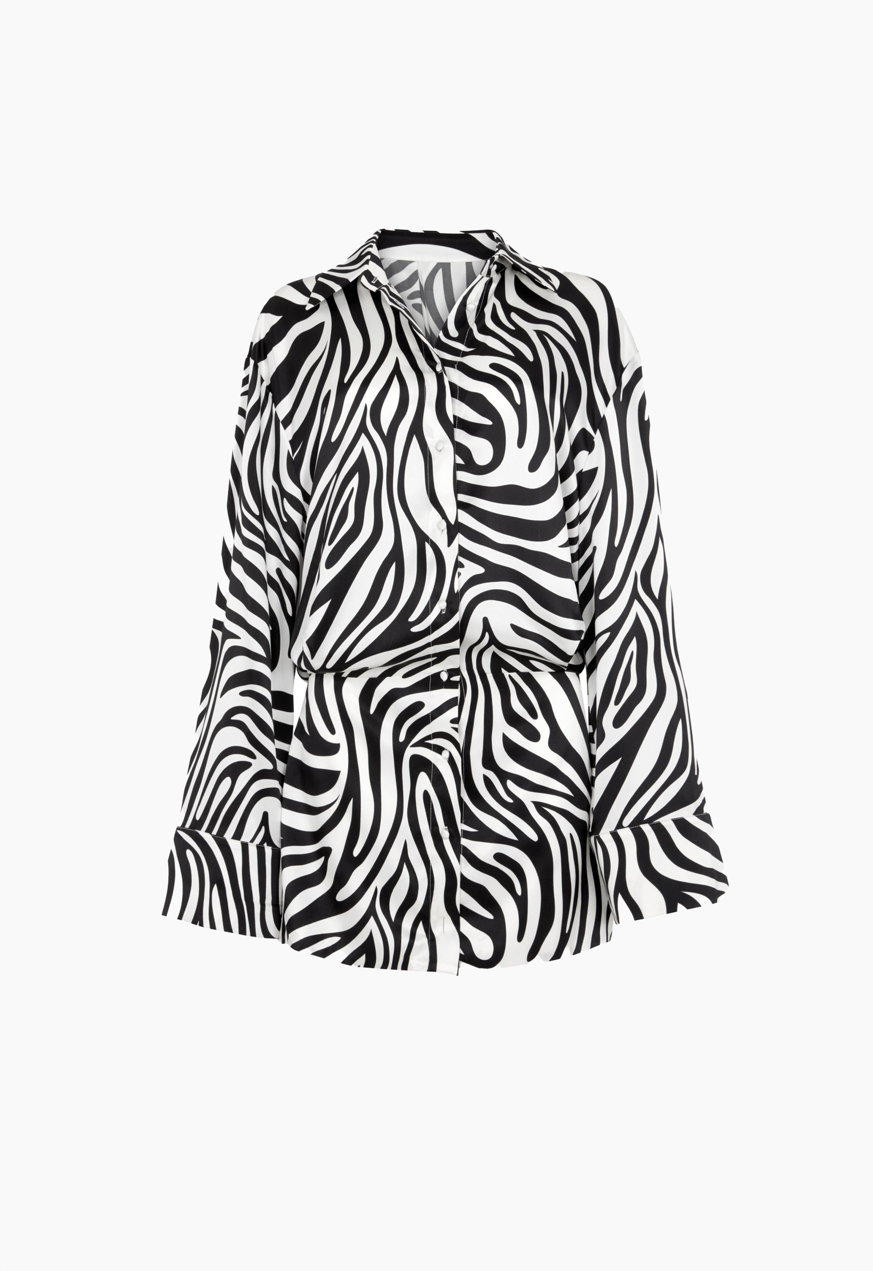 Silk Shirt Dress in Zebra Aexae, Silk Shirt Dress, Zebra